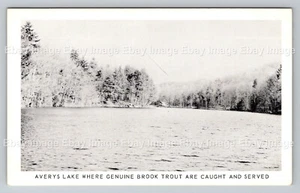 Avery's Hotel Lake Arietta NY Adirondacks Vtg Postcard Piseco - Picture 1 of 2