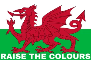 Raise The Colours Welsh Flag - Operation Raise Colours Protest Flag . 3X2FT. - Picture 1 of 1