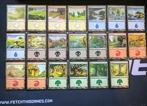 20 Basic Land - Lorwyn - 1x of each art - SP/NM - Magic MTG FTG - Picture 1 of 1