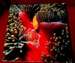 "Das lebendige Meer" Vintage Springbock 500 Stck. Puzzle tropische Fische 20 Zoll x 20 Zoll - Bild 1 von 4