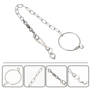 Arnés tobillera de viaje ángulo de loro de acero inoxidable juguete para pájaros accesorios - Imagen 1 de 12
