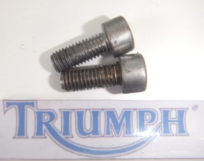 TRIUMPH TT 600 RIDERS CLAVIJA SUSPENSIÓN TORNILLOS DE MONTAJE 1 LADO COMO SE MUESTRA 2000 - 03 Foto 1 de 4