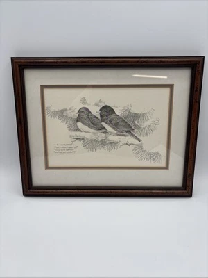 RARO Dibujo Don Whitlatch 1975 Enmarcado "Gorriones Pájaro de Nieve" - Regalo de Navidad Foto 1 de 4