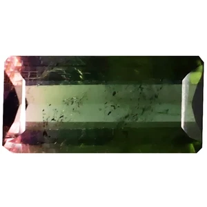 1.58 ct Octagon (10 x 5 mm) Unheated / Untreated Natural Watermelon Tourmaline - Picture 1 of 1