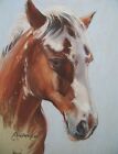 Horse Portrait Of Your Horse By Professional Artist Christopher Cole