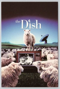 Postcard The Dish 2000 Y2K Comedy Film by Rob Stich NASA Movie Sheep - Picture 1 of 2