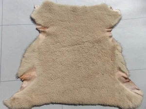 sheepskin shearling leather hide Tan Plush Fluffy Tight Curly Hair w/smooth back - Picture 1 of 4