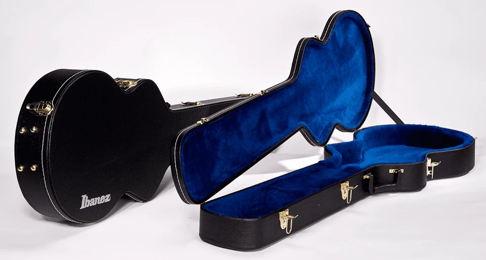 Estuche eléctrico de 12 cuerdas Ibanez ASB100 de cuerpo hueco (guitarras AS) Foto 1 de 1