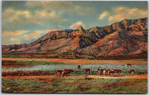 Albuquerque Nuevo México Casi Nuevo, Pico Sandia y Aguja Montañas Sandia, Postal - Imagen 1 de 2