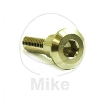 1 BULLONE DISCO FRENO M8X1.25 30MM A4 FOR TRIUMPH 1600 THUNDERBIRD 2009-2017 - Изображение 1 из 2