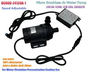 24V High Powerful Micro Brushless DC Water Pump DC60D-24120A-1 120W 12m 3800LPH - Picture 1 of 12