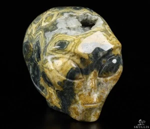 Geode 2.0" Ocean Jasper Crystal Skull Companion Star Being Female Alien - Picture 1 of 7