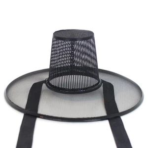 Korean Traditional Hat Gat 28cm for Men Yangban SAJA Hats Decoration Collector - Picture 1 of 5