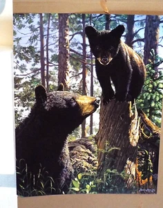 OSOS Y CACHORROS, DE BRUCE MILLER, - Imagen 1 de 2