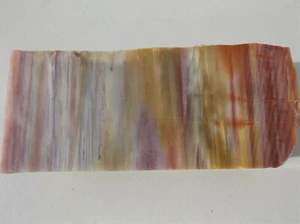 DIG-N-UTAH: ARIZONA PETRIFIED WOOD DISPLAY POLISHED PIECE # I 876 - Picture 1 of 5