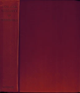 1939 Du und die Vererbung von Scheinfeld, Genetik Vererbung Erbkrankheiten Gene - Bild 1 von 1