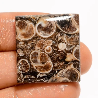 Cabujón de ágata turritella cuadrado natural 36,50 quilates fabricación de joyas 25X24X6 mm Foto 1 de 4