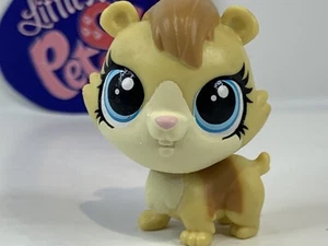 Hámster DABBY STOUTLEY #65 - Auténtico Littlest Pet Shop - Hasbro LPS - Imagen 1 de 4