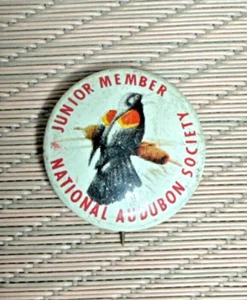 VINTAGE NATIONAL AUDUBON SOCIETY BIRD JR MEMBER PIN BACK BUTTON  - Picture 1 of 3