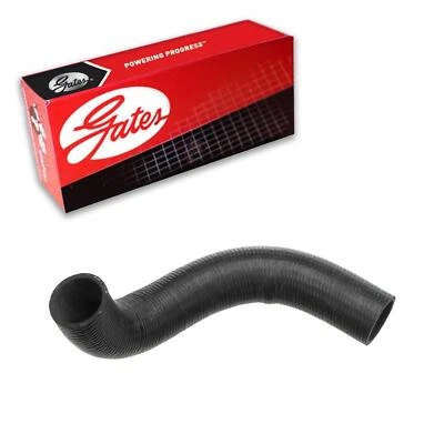 Manguera de refrigerante de radiador Gates para Ford Mustang 2005-2006 Foto 1 de 3