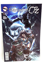 Warlord of Oz #4 Mike Lilly Cover A 2014 Grimm Fairy Tales Comic Zenescope VG