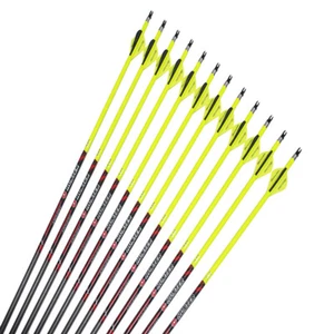 12pcs Archery Carbon Arrows Spine250-600 ID6.2mm 2"Arrow Vane Compound Bow - Picture 1 of 6