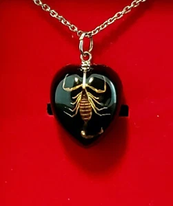Black Heart Scorpion Pendant goth occult punk alternative taxidermy - Picture 1 of 5