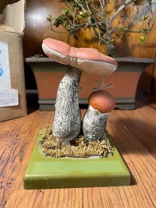 Vintage SOMSO ORANGE BOLETE MUSHROOM  educational model BOTANICAL FUNGUS - Picture 1 of 12