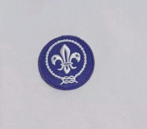 Boy Scouts of America - World Scouting Crest Patch - Cub - Picture 1 of 3