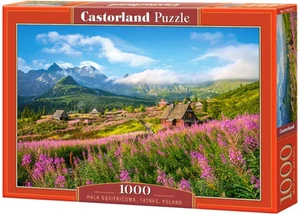 NEW Castorland Jigsaw Puzzle 1000 Pieces 104512 Tatras, Poland - Imagen 1 de 2