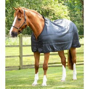 Premier Equine 200g Rug Liner in Black - Picture 1 of 4