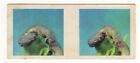 Lipton’s Tea Aust Stereoscopic Card 1970/80s 3rd Series #14 Caterpillar