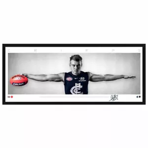 PATRICK CRIPPS CARLTON SIGNED FRAMED SIGNATURE SERIES AFL WINGS PRINT - Picture 1 of 1