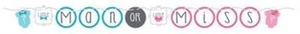 Baby Shower Bow or Bowtie? Circle Ribbon Banner 5.5' Gender Reveal Decorations - Picture 1 of 3