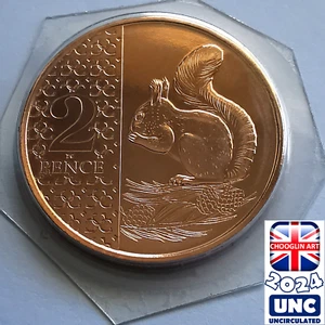 (BRILLIANT UNC) BRITISH 2024 CHARLES III TWO PENCE 2p 'RED SQUIRREL' coin - Picture 1 of 2