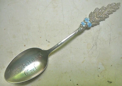 Reed & Barton Arlequín VARA DE ORO Souvenir Cuchara Esterlina Pasadena Cal Esmalte Foto 1 de 4