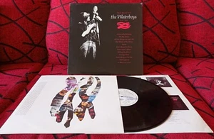 THE WATERBOYS ** The Best Of: '81 - '90 ** ORIGINAL 1991 SPAIN LP w/ INSERT - Picture 1 of 5