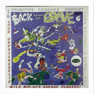 LP / VA✦ BACK FROM THE GRAVE Vol.6 ✦ 16 Raw Mid 60s Rockin' Garage Punkers ♫ - Picture 1 of 2