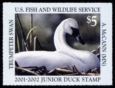 US JDS9 $5 2001 Junior Duck Stamp Trumpeter swan Artist: Aremy McCann XF NH - Image 1 of 2
