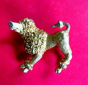 1950 FRENCH POODLE VINTAGE PIN GOLDEN BOY PUPPY FASHION JEWELRY - Picture 1 of 4