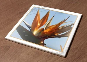 Kitchen Trivet Holder Ceramic Tile HotPlate Iplanta bird paradise exotic tropica - Picture 1 of 1