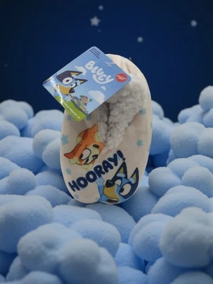 Bluey and Bingo 幼儿拖鞋,尺寸 2T/3T HOORAY 全新 — 第 1/4 张图片
