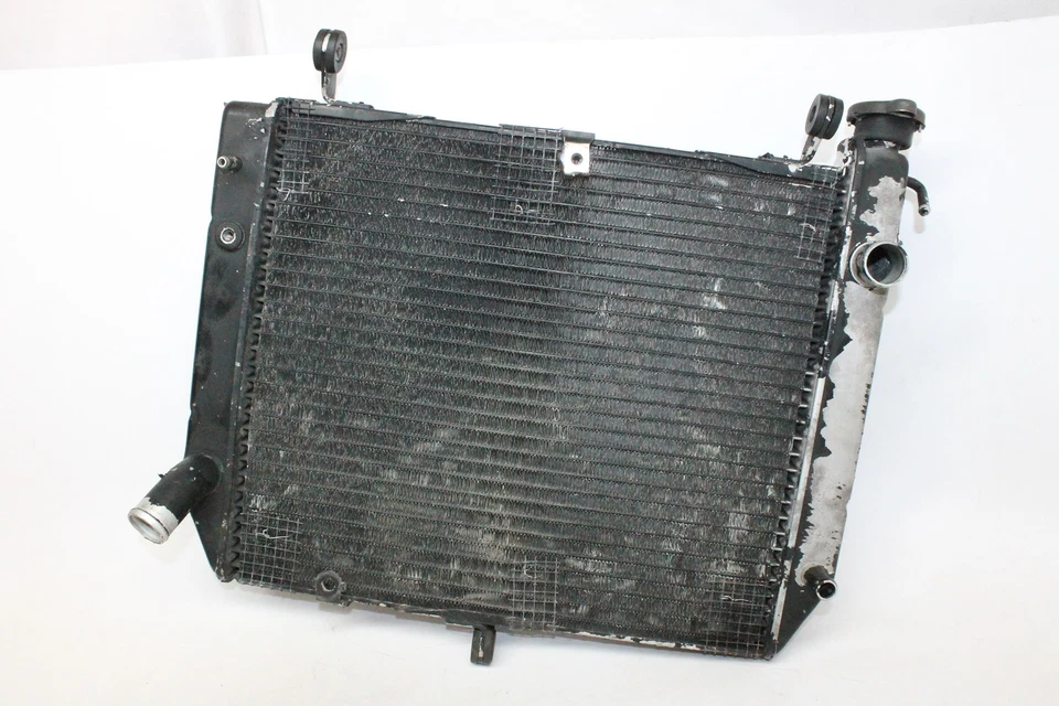 Yamaha YZF R1 1999 motor radiador motor enfriador radiador de refrigeración OEM Foto 1 de 1