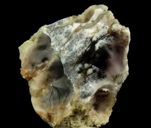MOSS AGATE ! interesting & rare - KAZAKHSTAN Karagandy Province - KOSTUBE /kw993 - Picture 1 of 10
