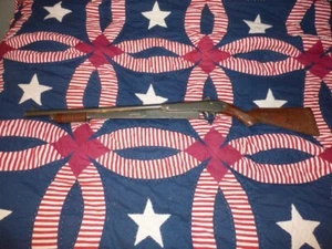 Vtg Etched Engraved Daisy Model No. 25 Pump BB Gun Air Rifle Plymouth Mi. - Picture 1 of 8
