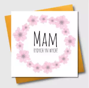 Welsh Mother's Day Card, Sul y Mamau Hapus, Mam rydych yn wych - Picture 1 of 1