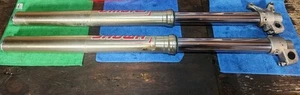 2019 HONDA CRF 250R OEM SHOWA RIGHT LEFT FRONT SUSPENSION FORKS SHOCKS Crf250r - Imagen 1 de 11