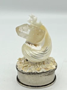 Vintage Muschel mit Quarzkristallen, Ringbox Metallsockel mit Samt innen - Bild 1 von 7