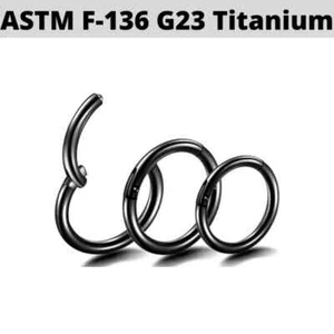 18G 5/16" GRADO IMPLANTANTE Negro TITANIO Segmento Clicker Anillo Nariz Oreja Aro Daith - Imagen 1 de 3