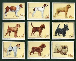 Juego de tarjetas de cigarrillos de tabaco perros 1934 alsacianos, terriers, airedale, Bulldog, etc. - Imagen 1 de 3